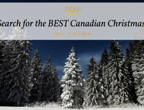 The Search for the BEST Canadian Christmas Tree