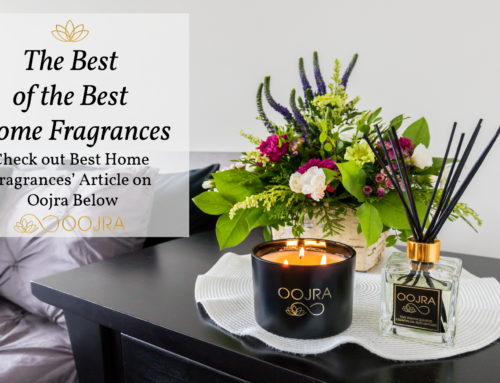 Best Home Fragrance Has Chosen Oojra as the Best Essential Oil Reed Diffuser