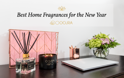 Reed Diffusers How To Choose The Right One Oojra